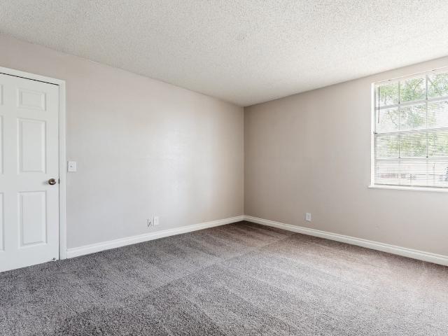 Apartment for rent in Tampa, Florida