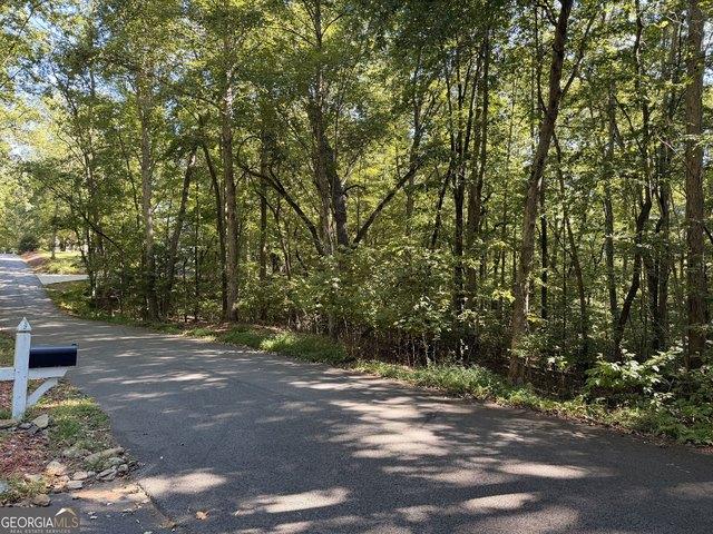 Land for sale in Blairsville, Union County