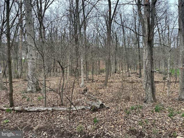 Land for sale in Mineral County, West Virginia