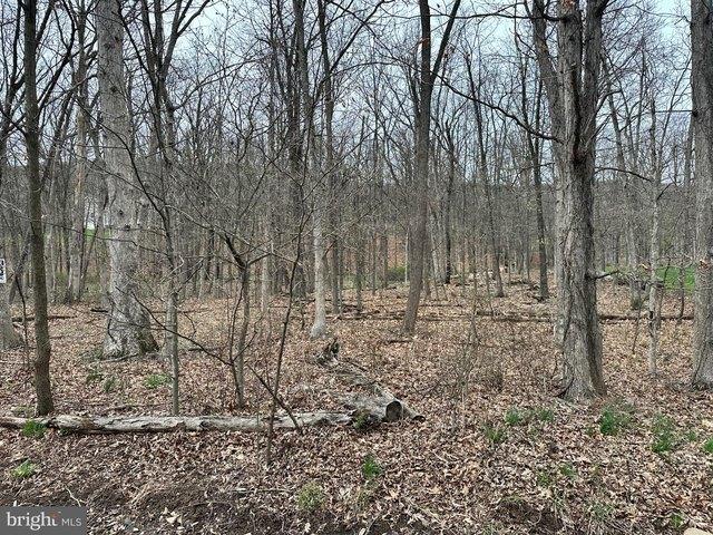 Land for sale in New Creek, West Virginia