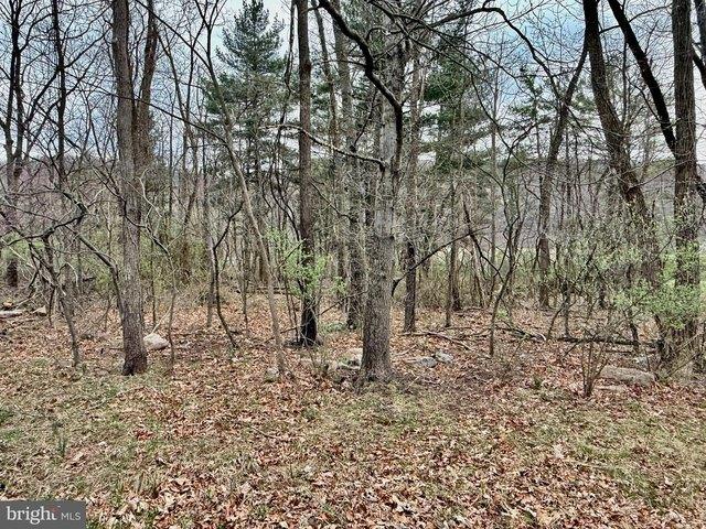Land for sale in New Creek, West Virginia