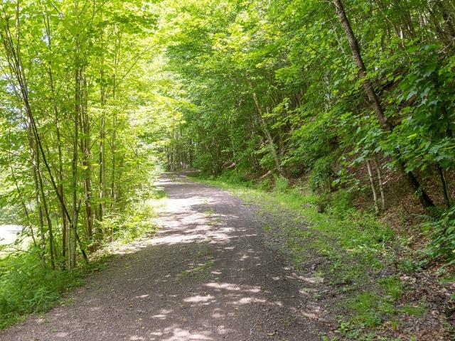 Land for sale in Andes, New York