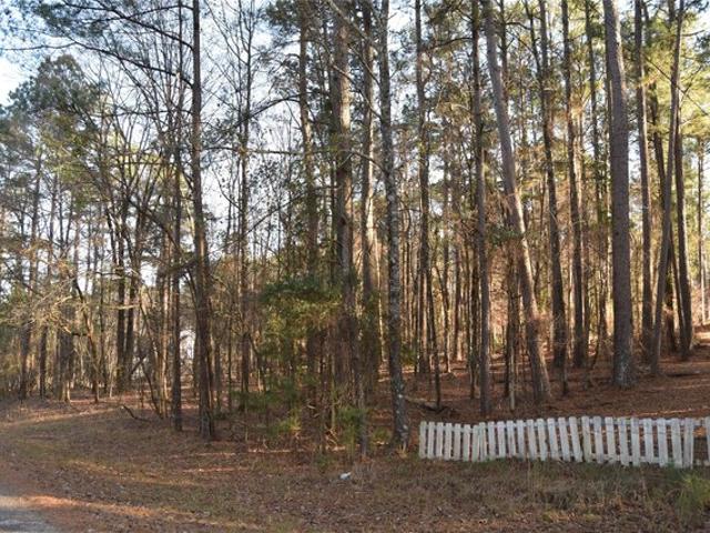 Land for sale in Minden, Louisiana