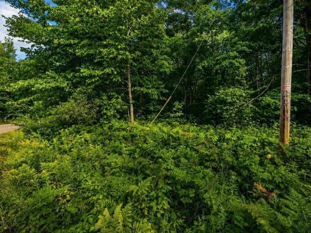 Land for sale in Elmira, Michigan