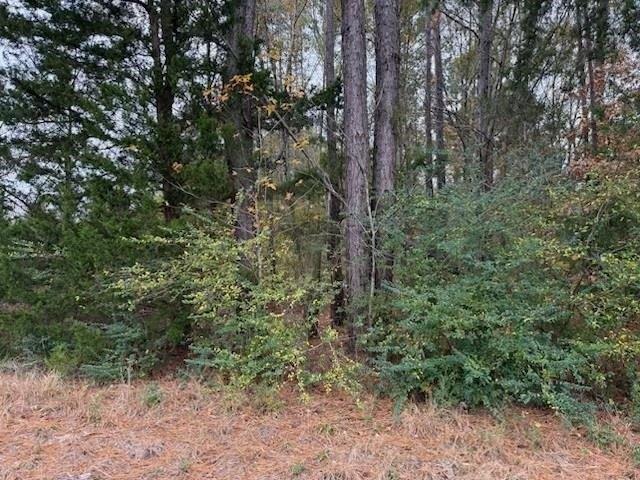 Land for sale in Kilgore, Texas