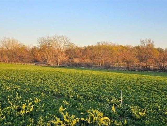 Land for sale in Riverside, Iowa