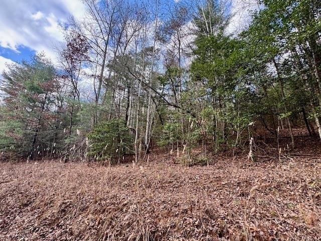 Land for sale in Murphy, North Carolina
