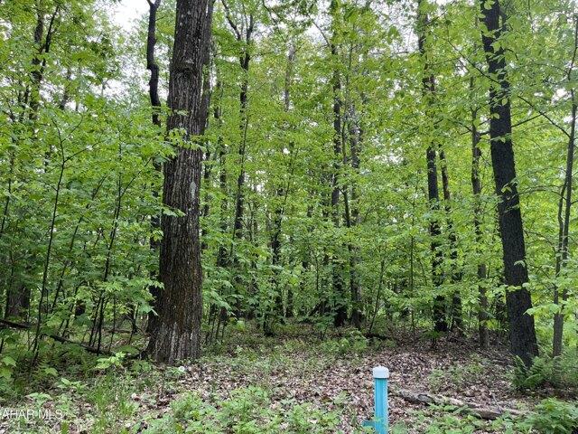 Land for sale in Blair, Pennsylvania