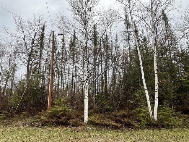 Land for sale in Presque Isle, Michigan