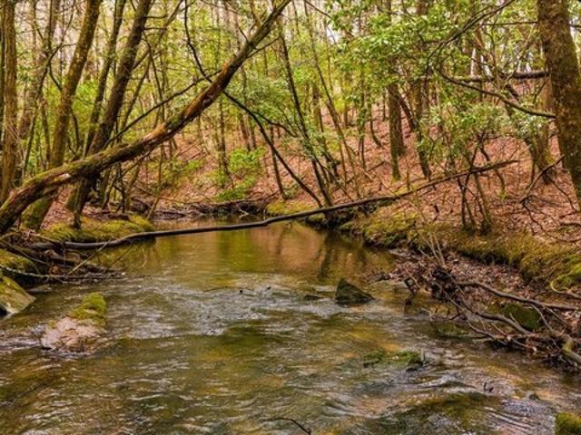 Land for sale in Monteagle, Middle Tennessee