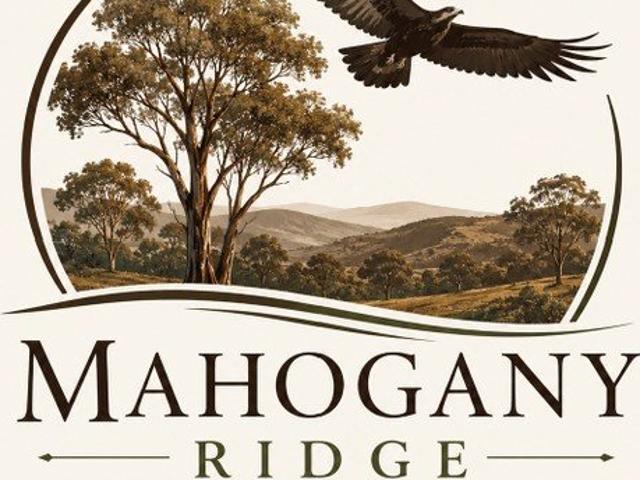 Land for sale in Kippaxs, New South Wales