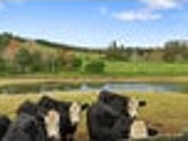 House for sale in Awhitu