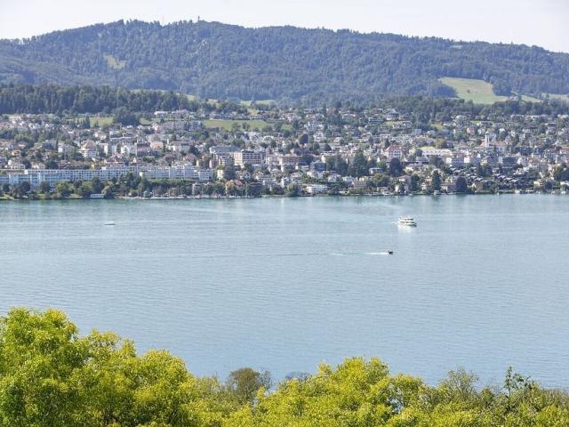 Haus mieten in Erlenbach (ZH), Zürich