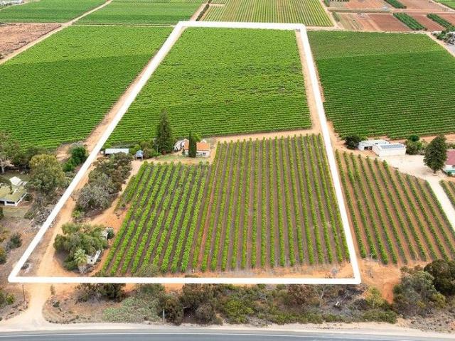 Cottage for sale in Barmera, South Australia