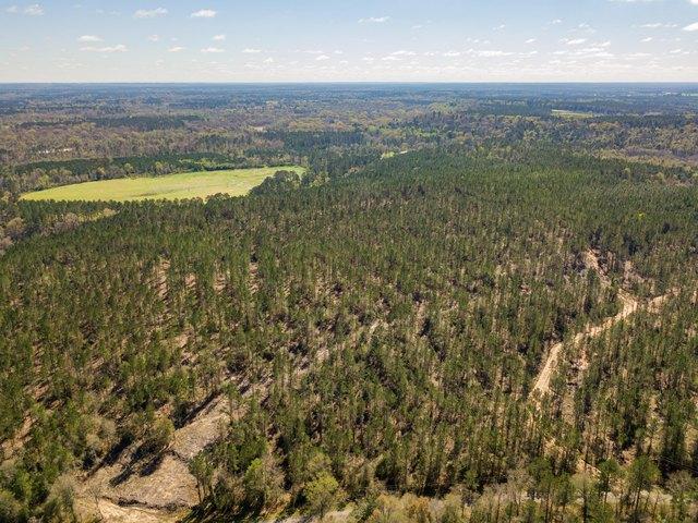 Land for sale in Ellisville, Jones County