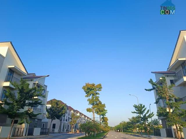 Biệt Thự bán tại Bắc Ninh