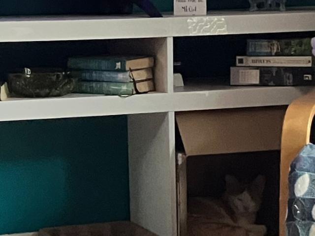 Room for rent in Toombul, Queensland