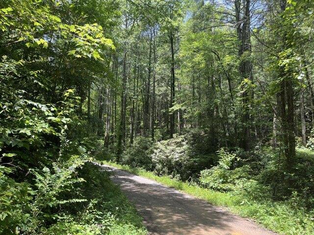 Land for sale in Reliance