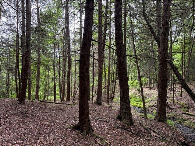 Land for sale in New York