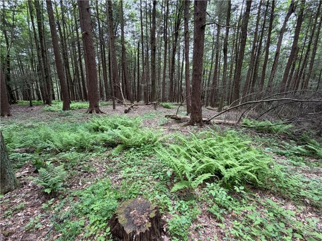 Land for sale in New York