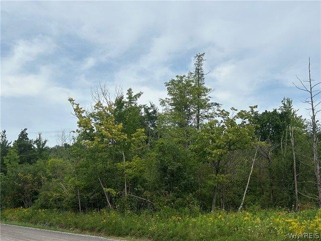 Farm for sale in Attica, New York