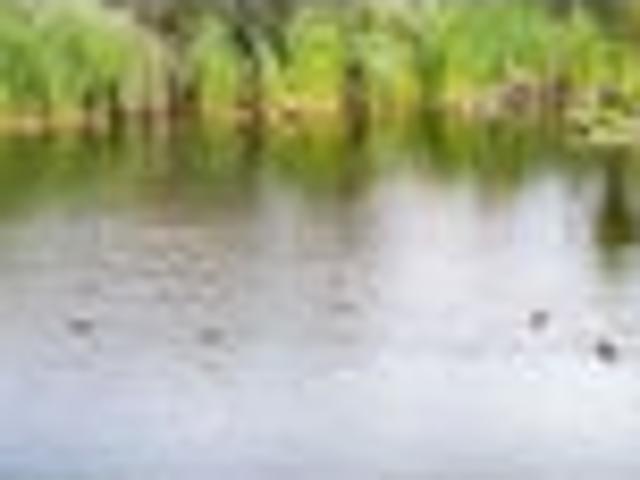 Land for sale in Tinopai, Northland