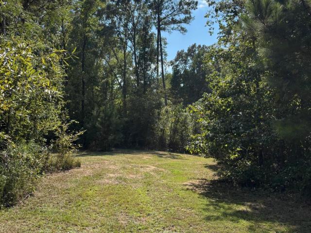Land for sale in Oil City, Bentonia
