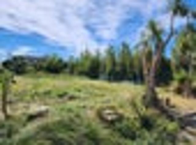 Land for sale in Longwood, Southland