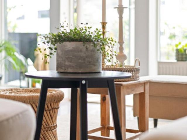 Haus kaufen in Fridau, Ober-Grafendorf