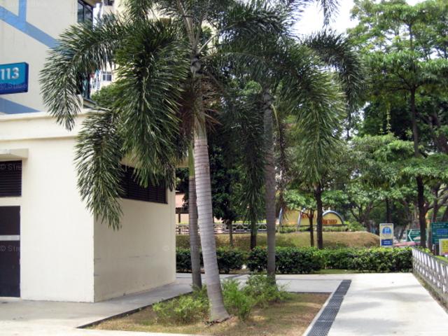 Detached House for rent