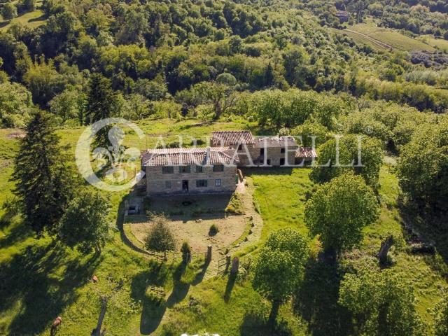 Casa in vendita a Canonica, San Polo In Chianti