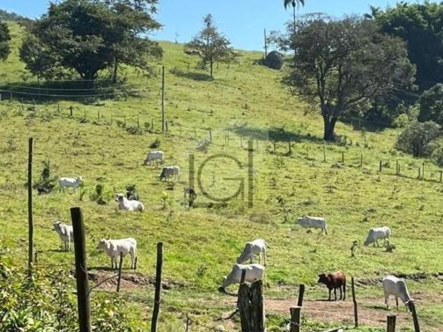 Sítio e chácara venda em Região Imediata de Sorocaba, Região Metropolitana de Sorocaba