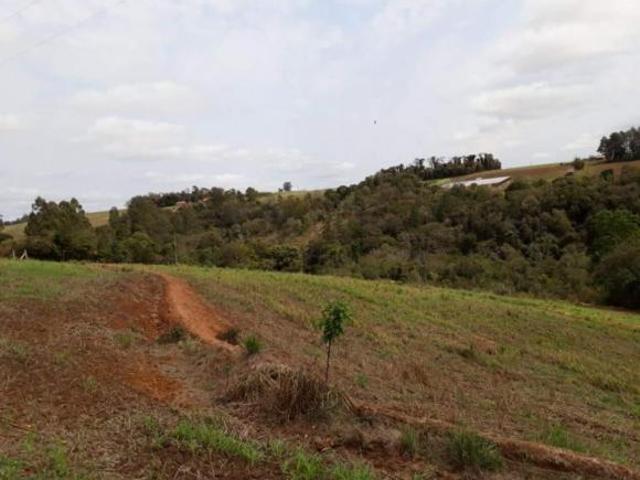 Sítio e chácara venda em Região Geográfica Imediata de Santo Antônio da Platina, Wenceslau Braz