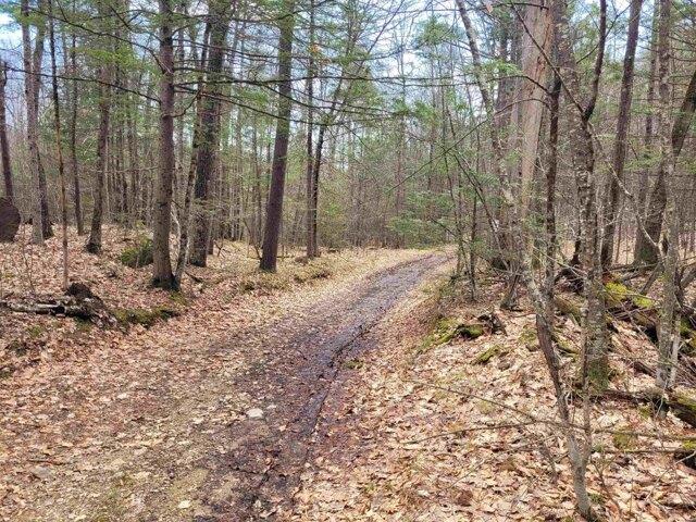 Land for sale in New Hampshire