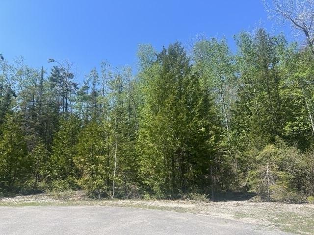 Land for sale in Presque Isle, Michigan