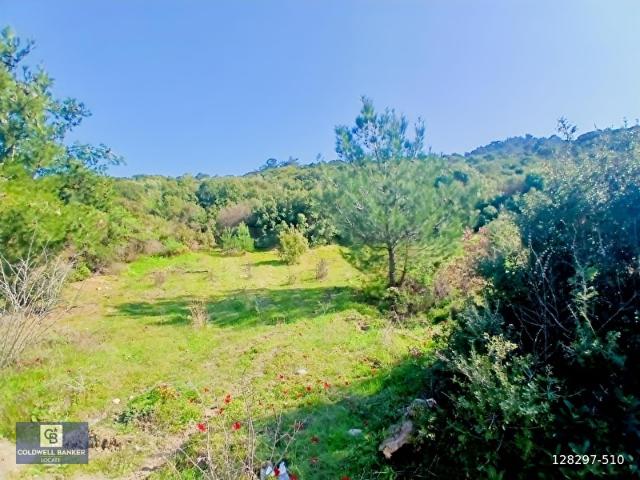 Tire, İzmir içerisinde satılık mülk