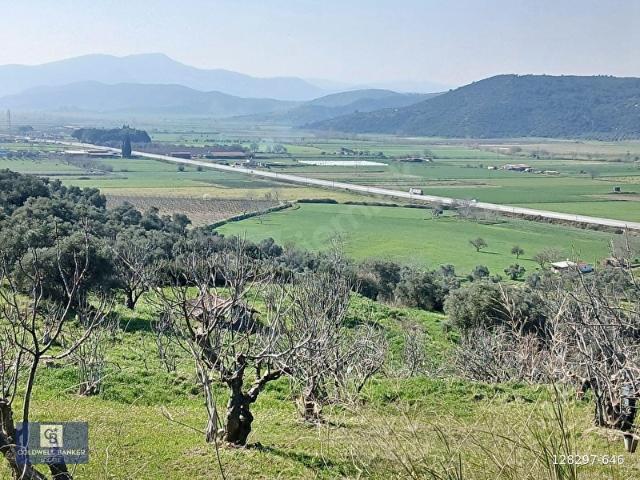 Tire, İzmir içerisinde satılık mülk