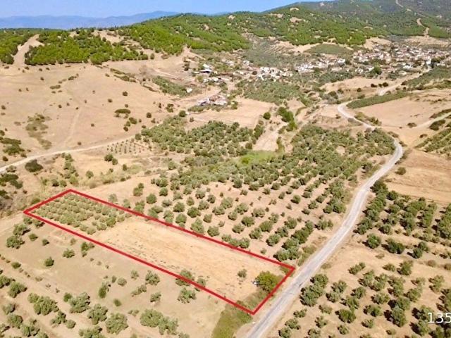 Derebaşı Mahallesi, Tire içerisinde satılık Arsa