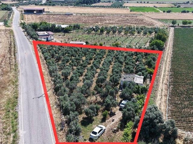 Tire, İzmir içerisinde satılık mülk