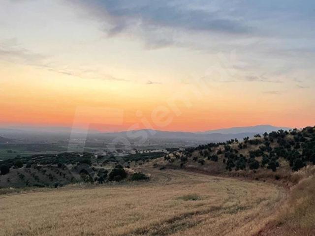 Tire, İzmir içerisinde satılık Arsa