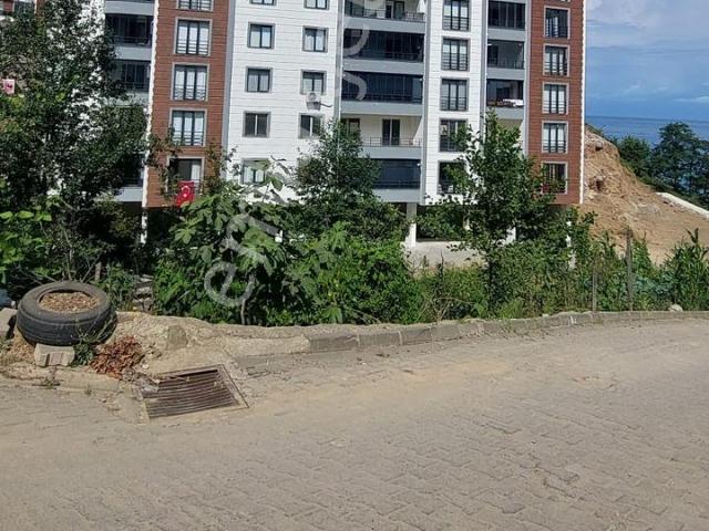 Derebaşı, Tirebolu içerisinde satılık mülk