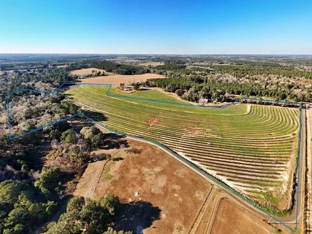 Land for sale in Grady, Georgia