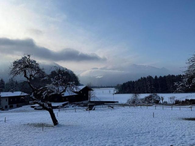 Gewerbe kaufen in Seefeld in Tirol, Tirol