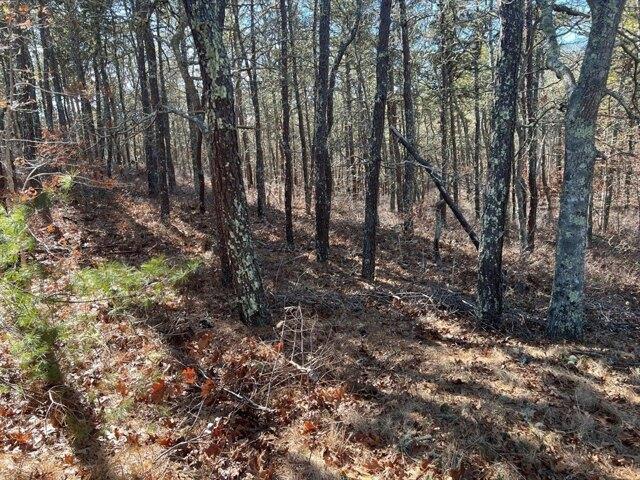 Land for sale in Chatham