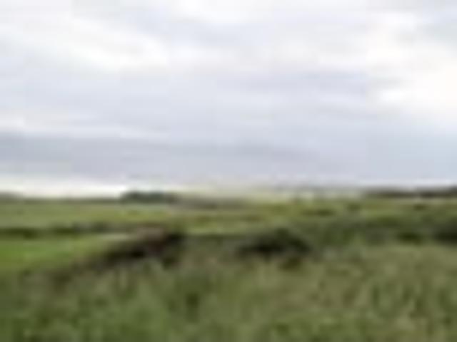 Land for sale in Southland