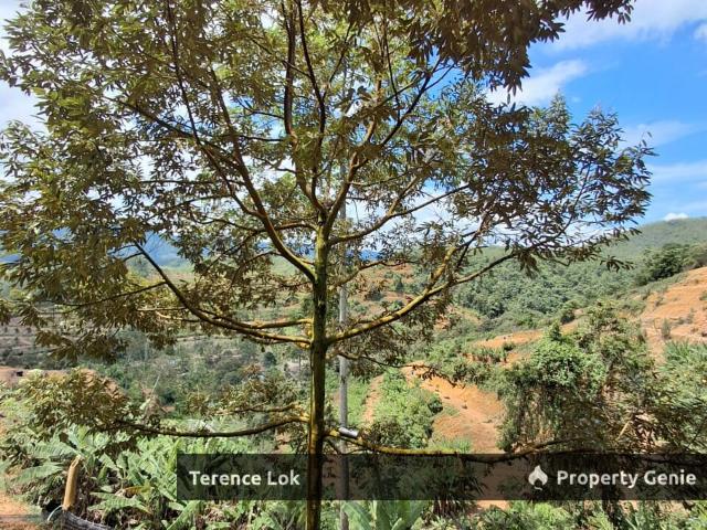 Property for sale in Kampung Chennah, Jelebu
