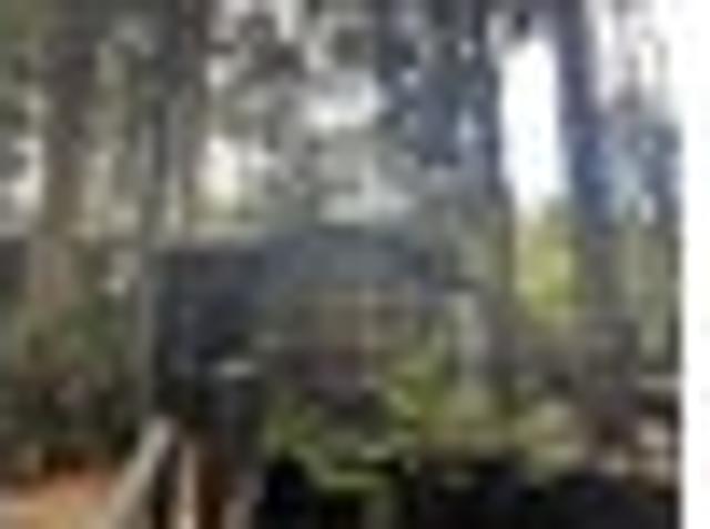 Apartment for rent in Kōnini, Waitākere Ranges