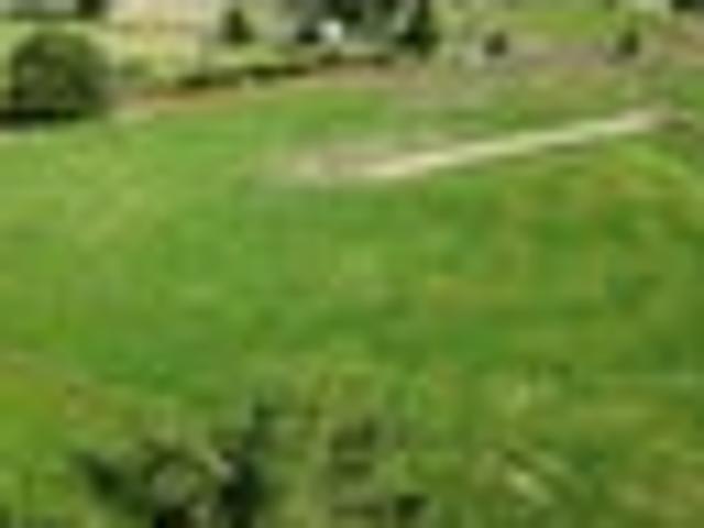 Land for sale in Waikato