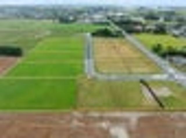 Land for sale in Leeston, Canterbury