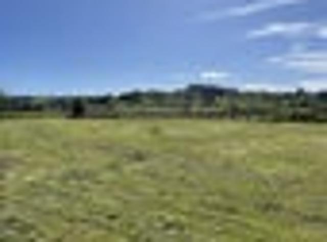 Land for sale in Otorohanga, Waikato